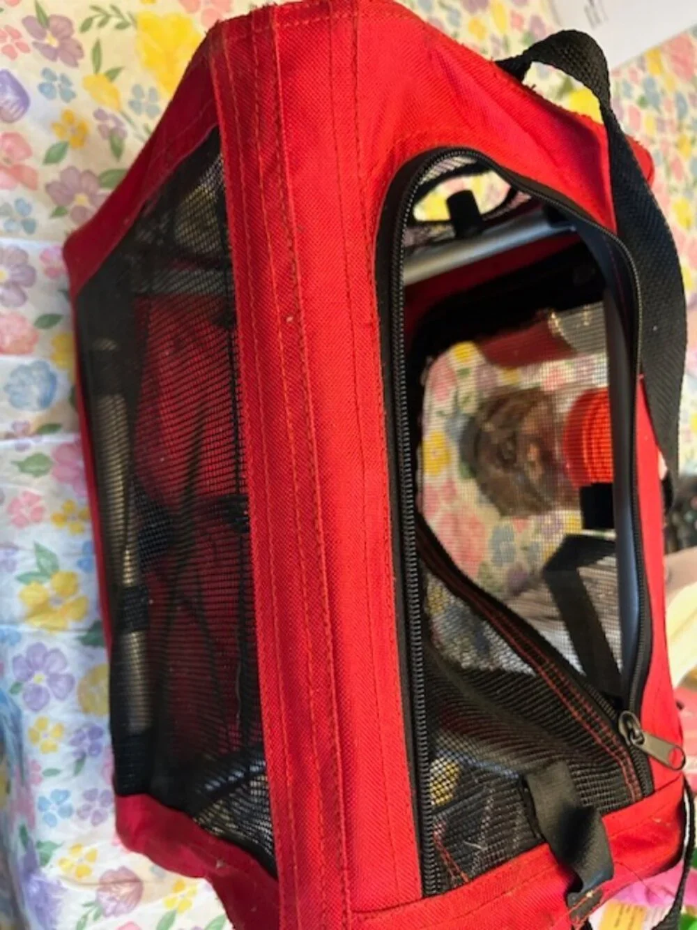 Durable Red Canvas Small Pet Carrier
